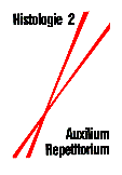 Histologie-2-Auxilium-Repetitorium
